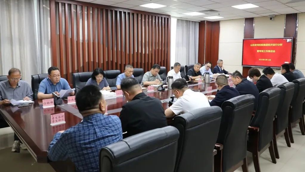錨定目標(biāo)再發(fā)力 攻堅(jiān)克難促落實(shí)——宏河集團(tuán)召開經(jīng)營運(yùn)行分析暨專班工作推進(jìn)會(huì)議