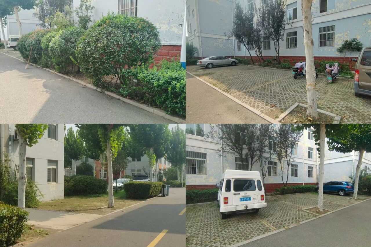 【魯南電商】共建美麗園區(qū)，我們?cè)谛袆?dòng)！1