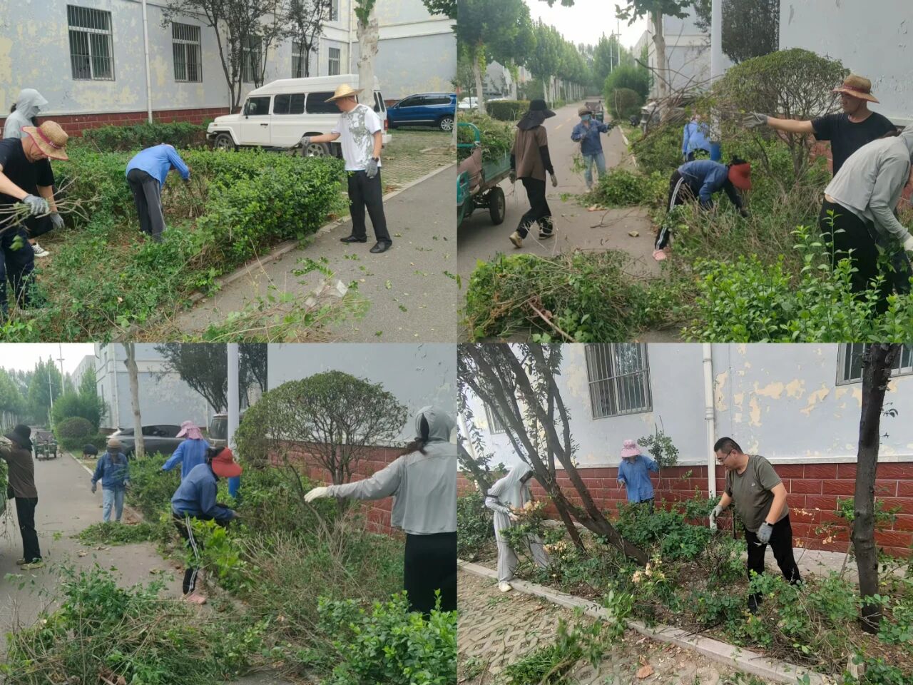 【魯南電商】共建美麗園區(qū)，我們?cè)谛袆?dòng)！